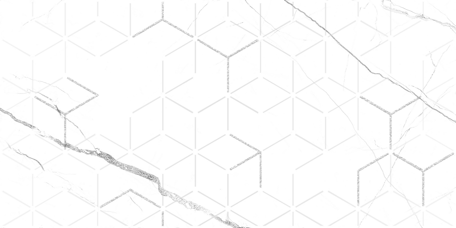 GT124VG Декор кер. Siluet GT Бел. 50*25 _ 1 \7