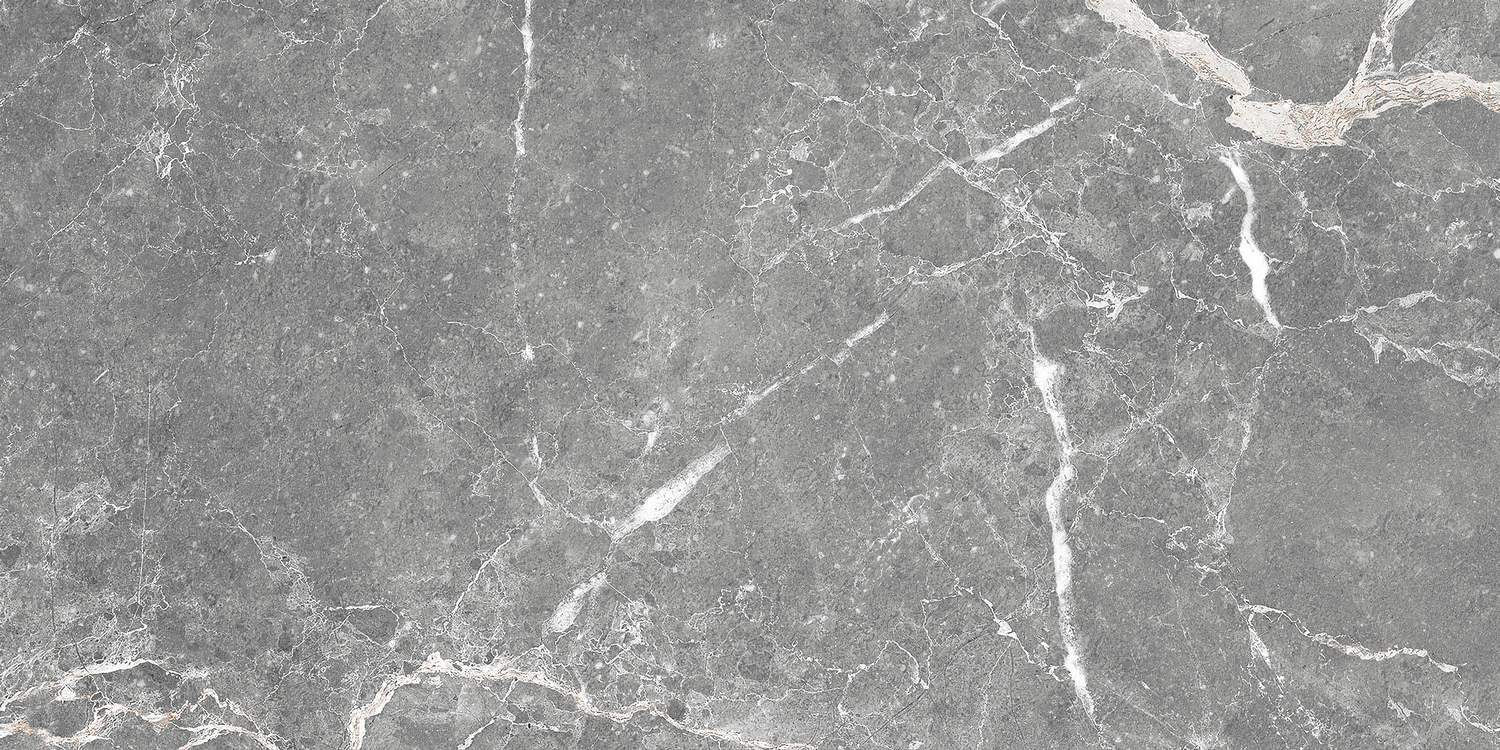 GT99VG Плитка облиц. Capella GT Сер. 50*25 _ 1 \74,25