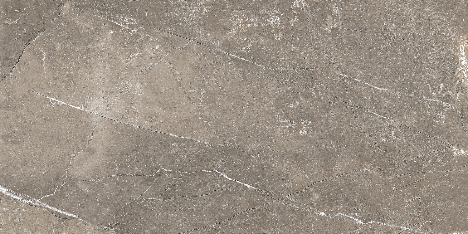 GT122VG Плитка облиц. Siluet GT Кор. 50*25 _ 1 \74,25