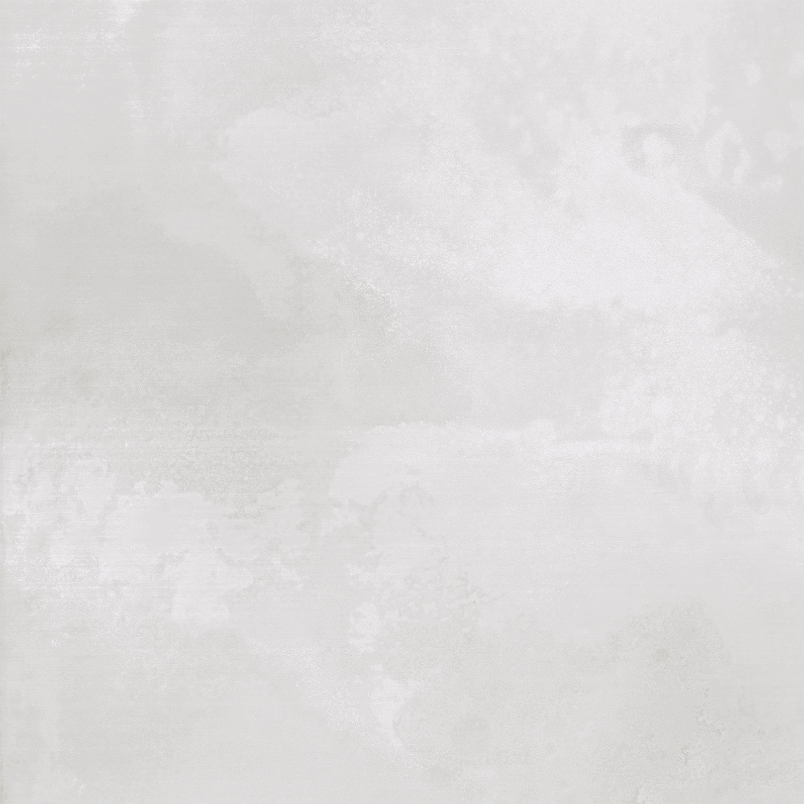 Anima Grey