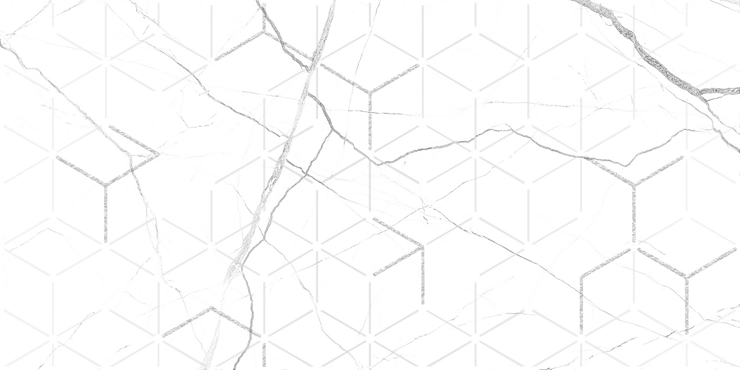 GT124VG Декор кер. Siluet GT Бел. 50*25 _ 1 \7