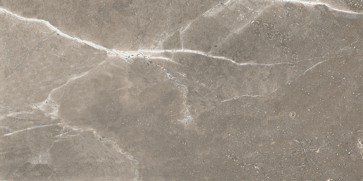 GT122VG Плитка облиц. Siluet GT Кор. 50*25 _ 1 \74,25